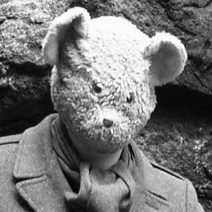 profile avatar image