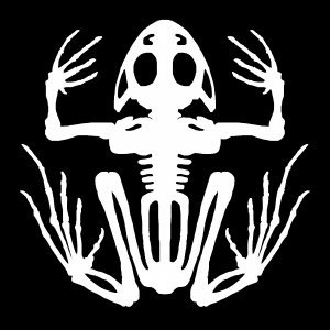 profile avatar image