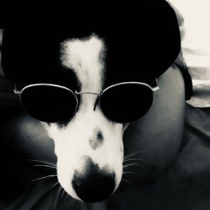 profile avatar image