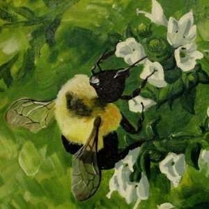 profile avatar image