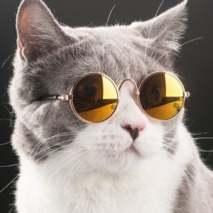 profile avatar image