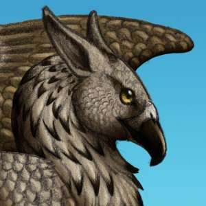 profile avatar image