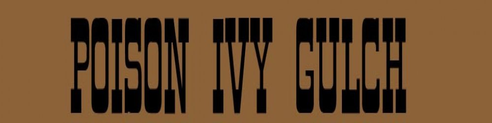 public banner