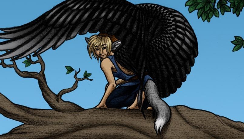 rotating banner image